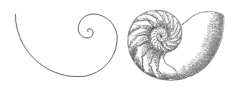 WP - NAUTILUS e ESPIRAL - png.001